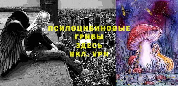 сатива Семикаракорск