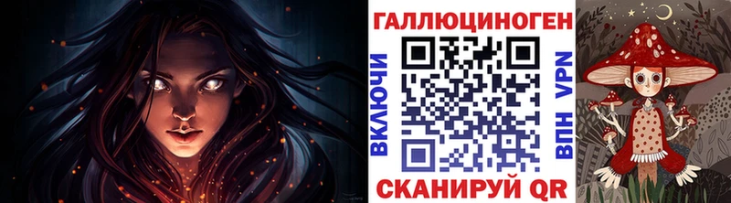 купить   Богородск  Псилоцибиновые грибы Psilocybe 