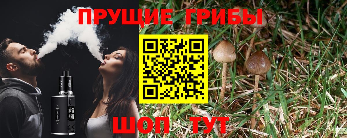 Богородск  Галлюциногенные грибы Psilocybine cubensis  Вход с VPN  Галлюциногенные грибы прущие грибы 